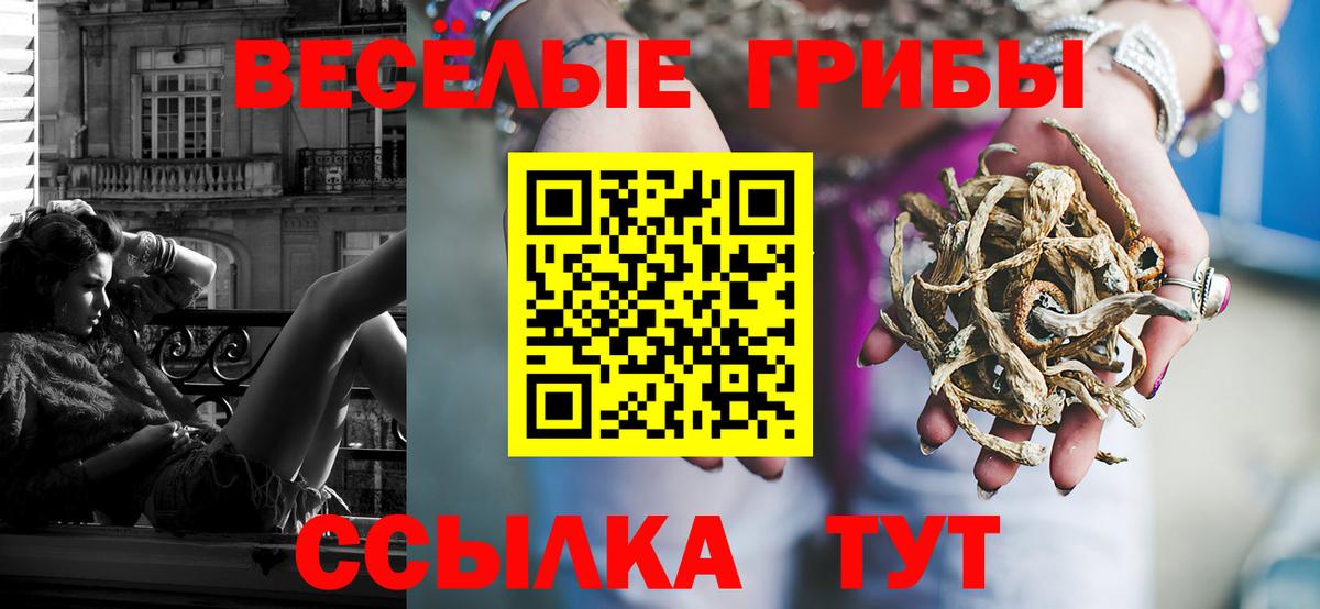 Галлюциногенные грибы MAGIC MUSHROOMS  Вход с VPN  Анапа 