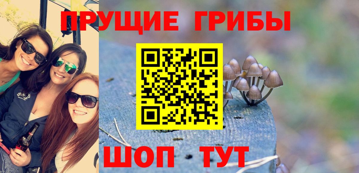 Псилоцибиновые грибы Psilocybine cubensis Анапа
